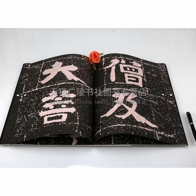 中国石刻书法精粹 冈山入楞伽经 中国传统艺术经典书系书法理论字帖楷书教程篆刻碑帖爱好者初学者练习赏析临摹范本山东美术出版社