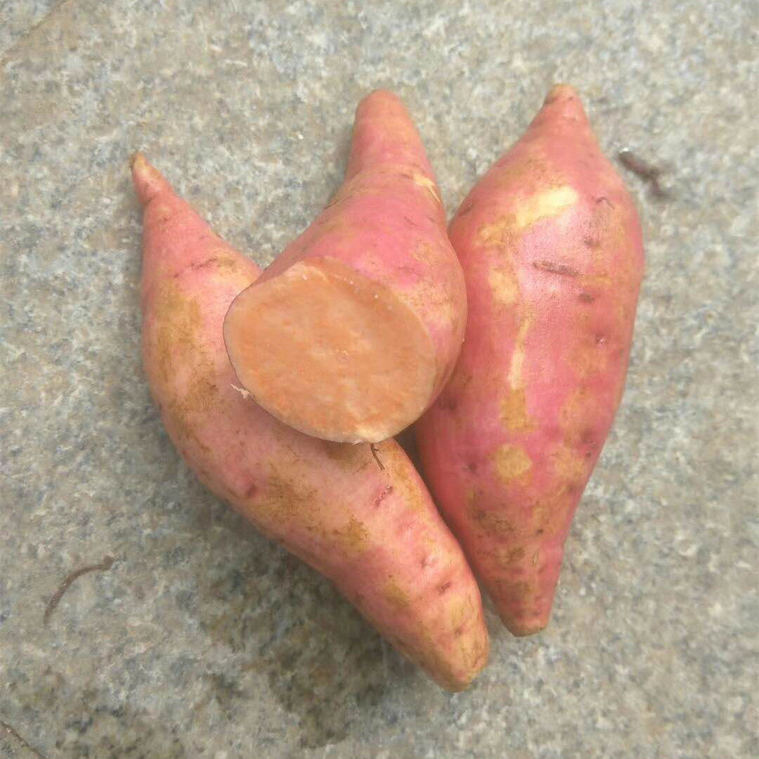 红安苕湖北特产红薯红皮红心苕新鲜现挖番薯沙地蜜薯5斤装20斤装