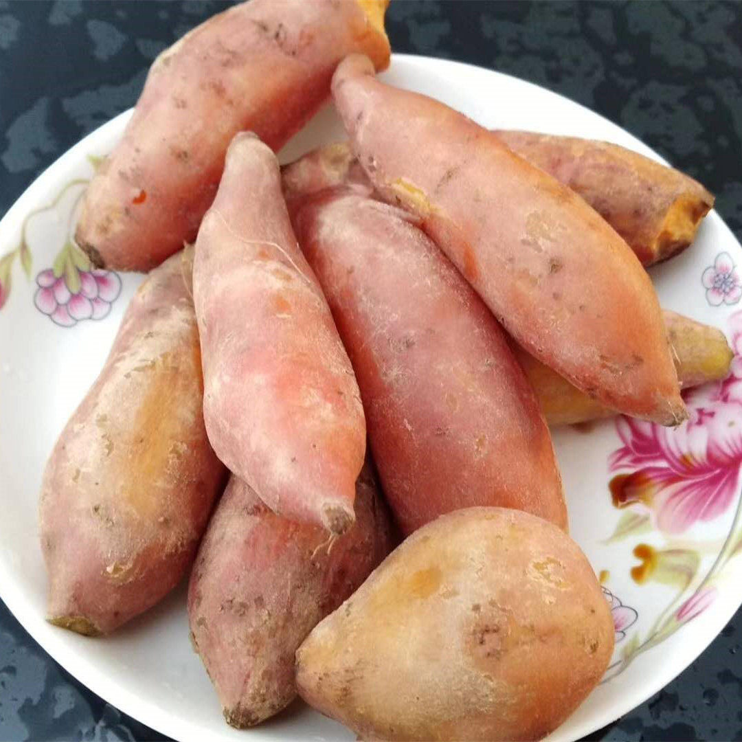 红安苕湖北特产红薯红皮红心苕新鲜现挖番薯沙地蜜薯5斤装20斤装