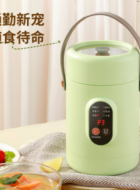 英规多功能小型电提锅