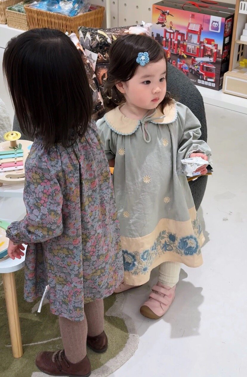 2025秋季apo新款女孩女童欧美风灰蓝雏色菊系重工翻领刺绣连衣裙 - 图1