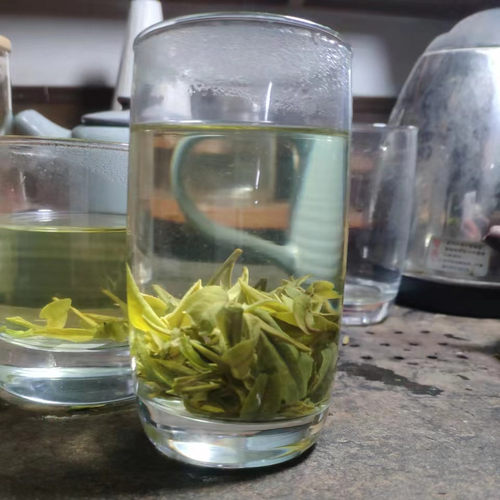 0415顶峰 豆香群体种100克 三王堂龙井茶26年新茶 - 图3