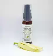 白兰花持久 新人首单立减十元 21年9月 淘宝海外