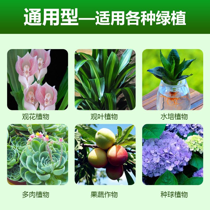 液肥氮磷钾花肥点滴化肥长寿花植物营养液通用型养花花园蓝莓家用-图1