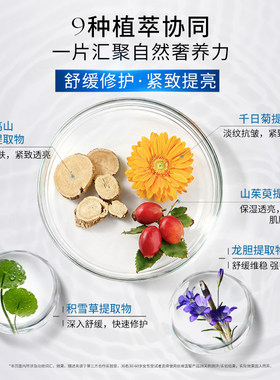 丝维蓝皙舒颜水光修护精华面膜