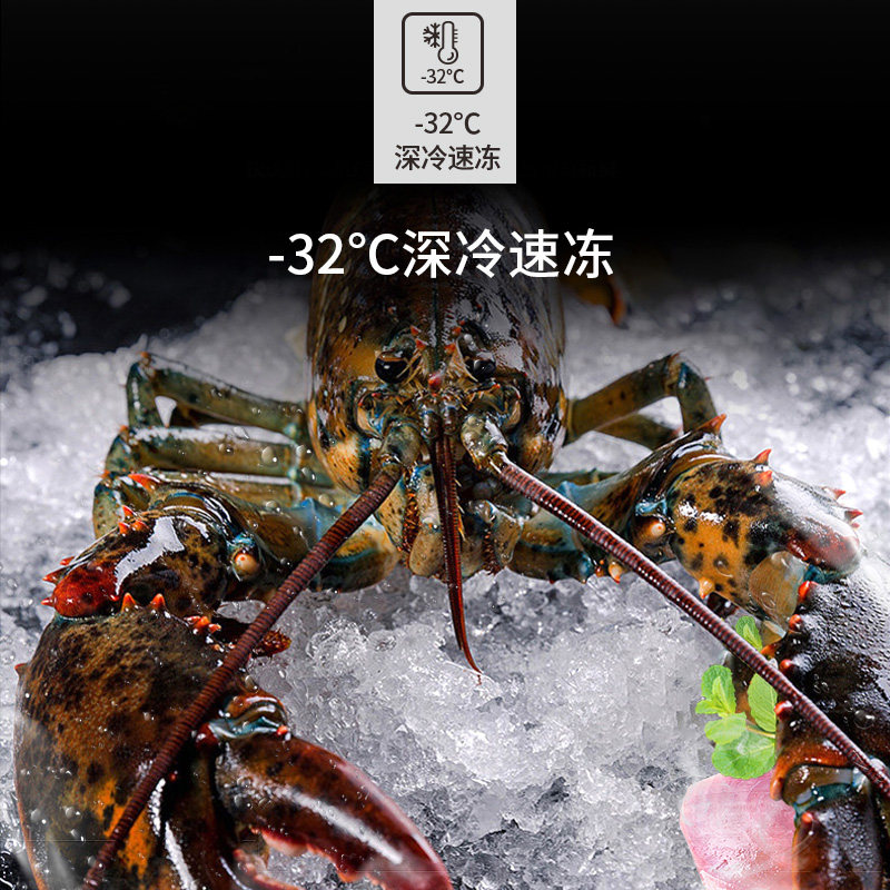 美菱冰柜家用小型电脑控温卧式 安徽美菱冷柜