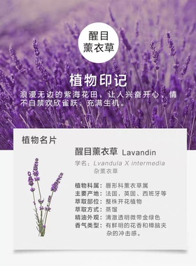 汇美舍普罗旺斯醒目薰衣草精油10ml控油修护痘印助眠护肤香薰精油