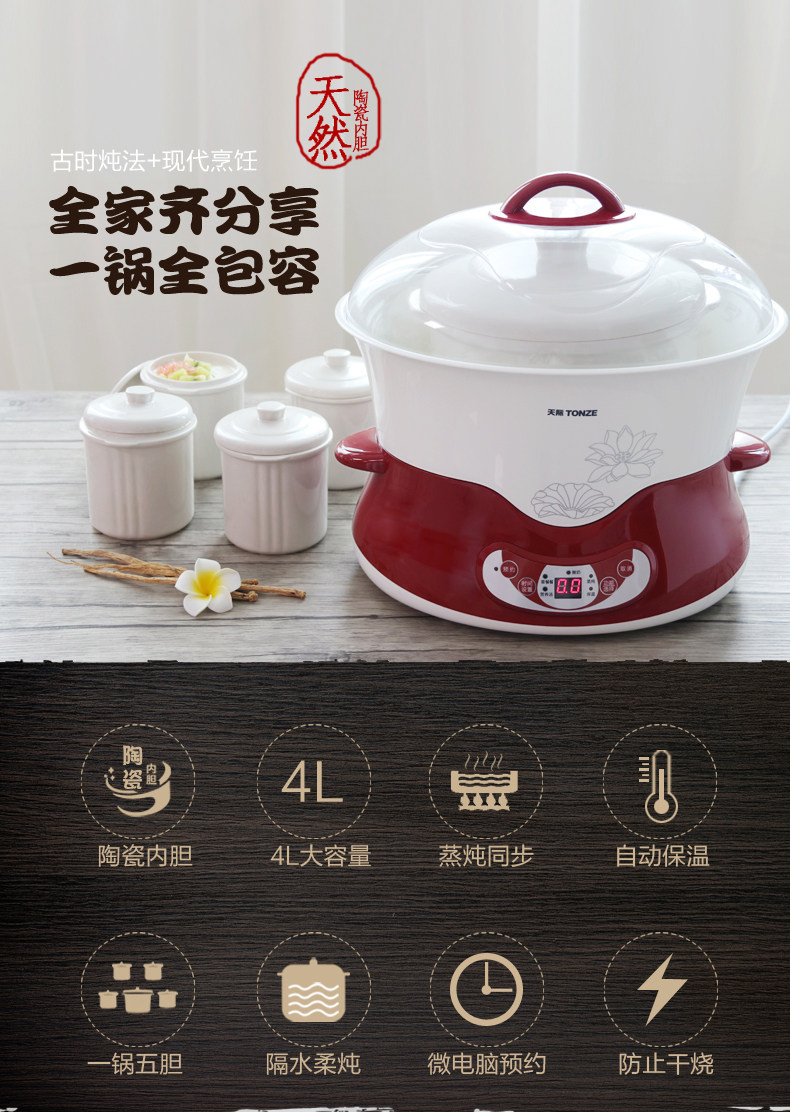 天际4l升容量电炖锅大家庭用全自动 天际电炖/煮粥锅/文火炉