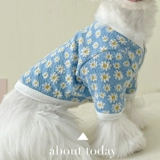 Маленькая ромашка кардиган одежда для домашних животных, Тедди VIP Permi Bomebi Belle Malzus