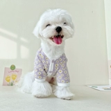 Маленькая ромашка кардиган одежда для домашних животных, Тедди VIP Permi Bomebi Belle Malzus