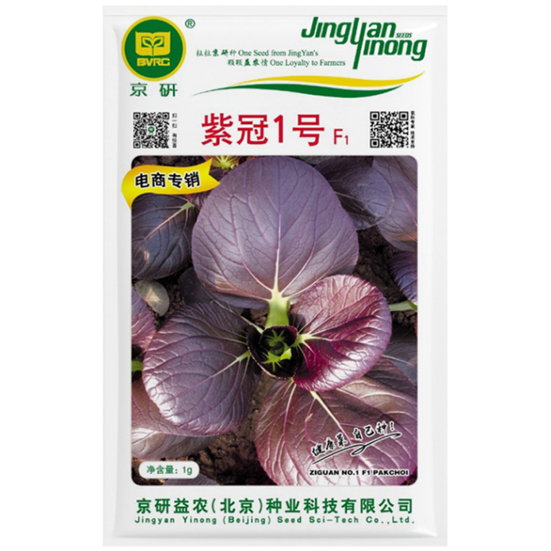 紫油菜籽上海青紫色小油菜种孑紫叶油菜四季紫玉油菜蔬菜种子种籽 - 图3