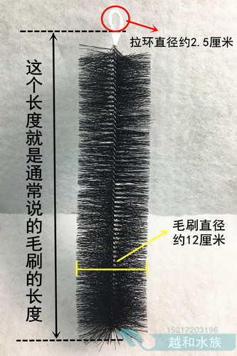 正宗国标304不锈钢锦鲤鱼池水族过滤毛刷池塘园林庭院材料50支/箱 - 图1