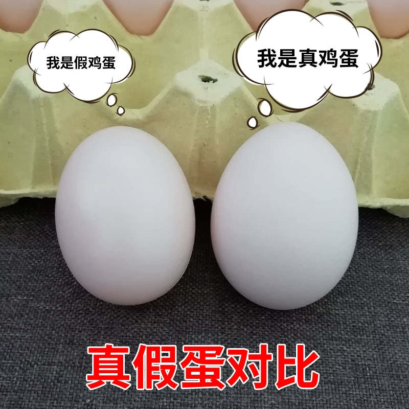 Реалистичная игрушка для семьи для детского сада, DIY