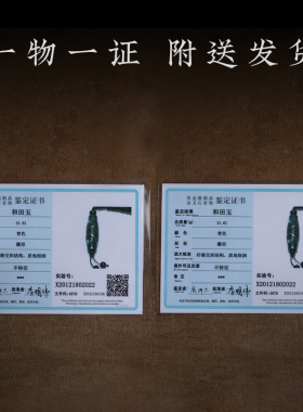 孤品天珠吊坠项链一物一图送证书