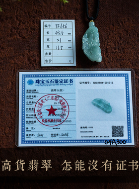 天然正品翡翠貔貅吊坠项