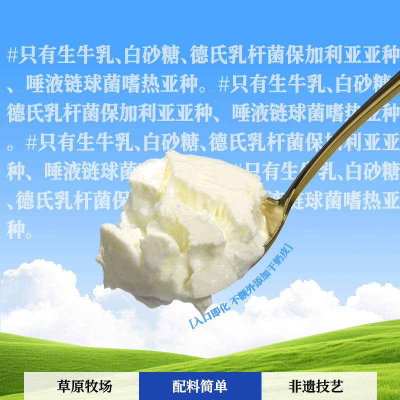 兰格格乌日莫奶皮子酸奶620g内蒙特产草原酸奶大瓶浓稠款