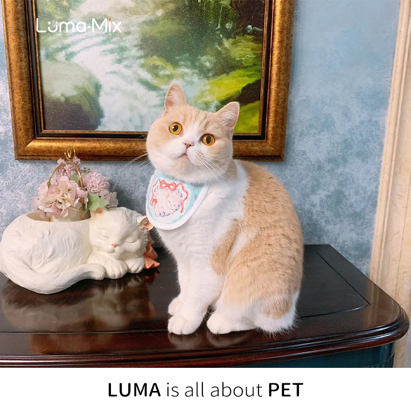 LumaMix盒几 通用原创口水巾宠物猫狗衣服春夏新年过长毛吃饭围兜 - 图1