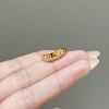 Tianjue Jewelry Hello Kitty kt cat gold ring cute kitten fortune ring pure gold 999
