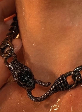 小众衔接设计感锆石黑蛇颈链