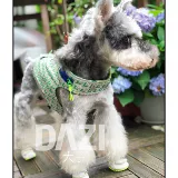 Dasizi Original Design Pet Dog Four Seasons жилет жилет и магистраль Shineri Bear Teddy