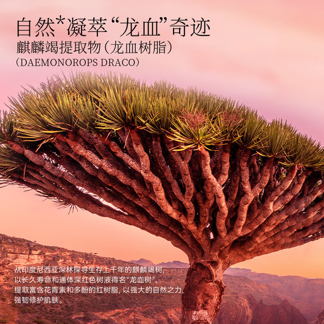 FANBEAUTYDIARY Repair Dragon Blood Mask