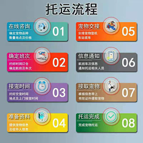 宠物托运服务猫咪狗狗兔鼠空运火车专车航空全国 - 图2
