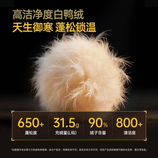 Camel Men's Down Pants Men's Autumn and Winter 2025 New Cold-resistant and Warm Duck Down Plus Velvet Thickened Workwear Long Pants