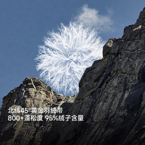 喜马拉雅藻灰绿玉龙鹅绒羽绒服女800蓬户外防风防寒雪山登山外套 - 图3