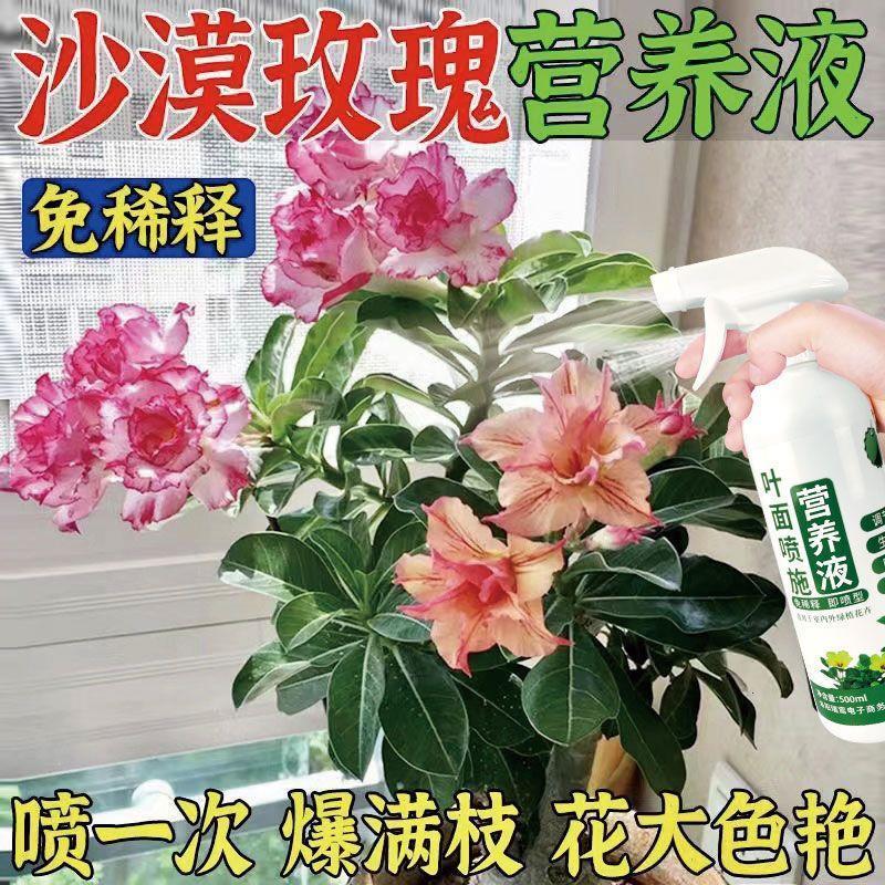 生根药水营养液沙漠玫瑰专用促芽催花花爆盆营养液叶面喷施叶绿素 - 图2