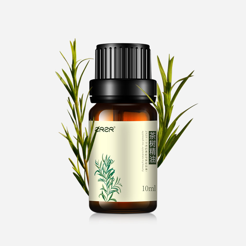澳洲茶树10ml面部祛控油消菌茶树油 zrzr单方精油