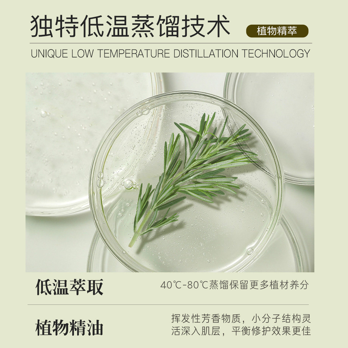 澳洲茶树10ml面部祛控油消抗痘印炎 zrzr单方精油