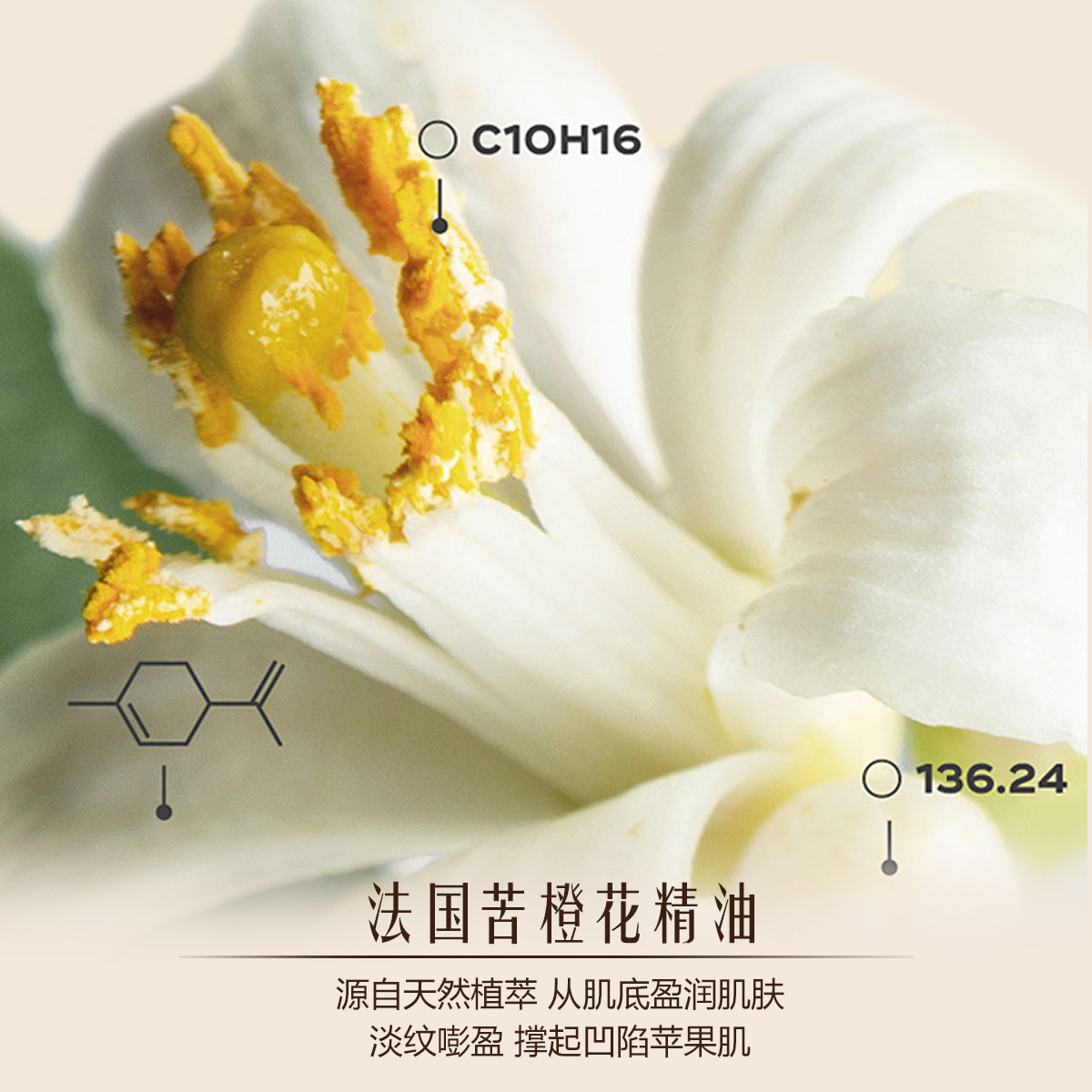 ZRZR橙花精油舒缓修护面霜 抗皱紧致 保湿乳霜滋润护肤品弹润紧致