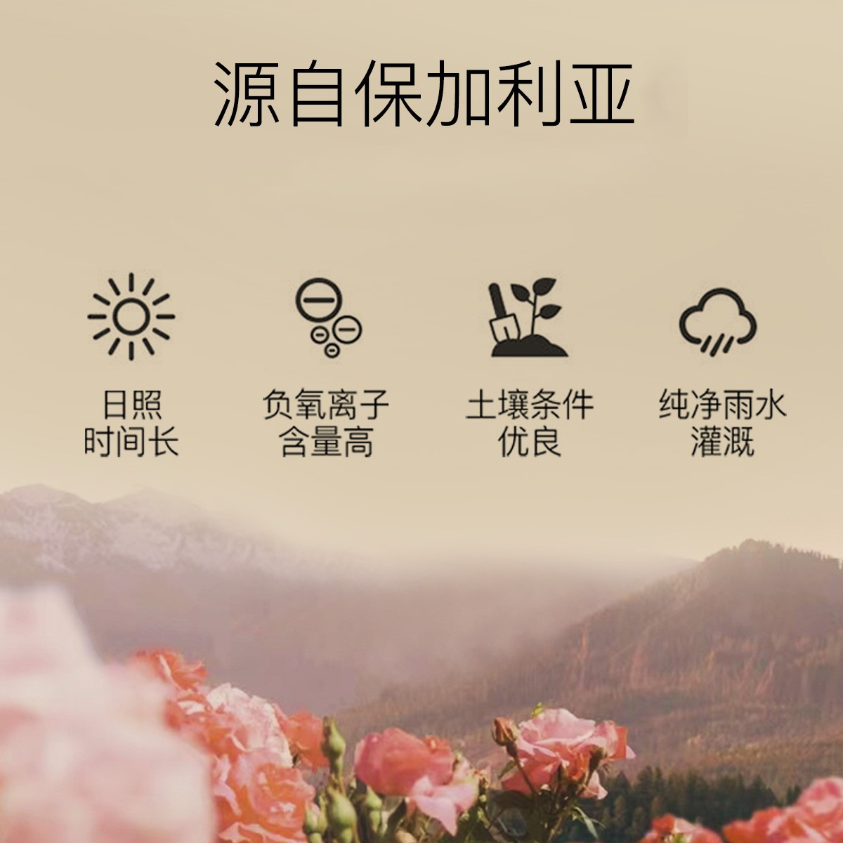 ZRZR保加利亚大马士革玫瑰精油面部按摩油保湿提亮肤色15ml*2