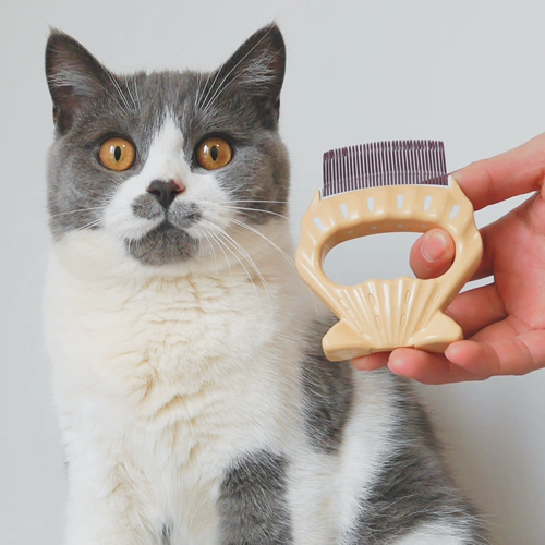 Fat Orange Японский подлинный филоком Filo Shell Combat Cat and Dog Frica Comb Pett Petts