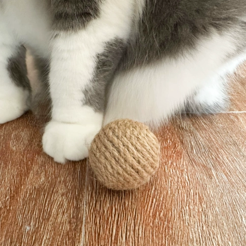 Тали, Майлз естественные здоровые мечи и клена, Сальва, песчаник, кошка, собака, игрушка, безопасные шлифовальные когти