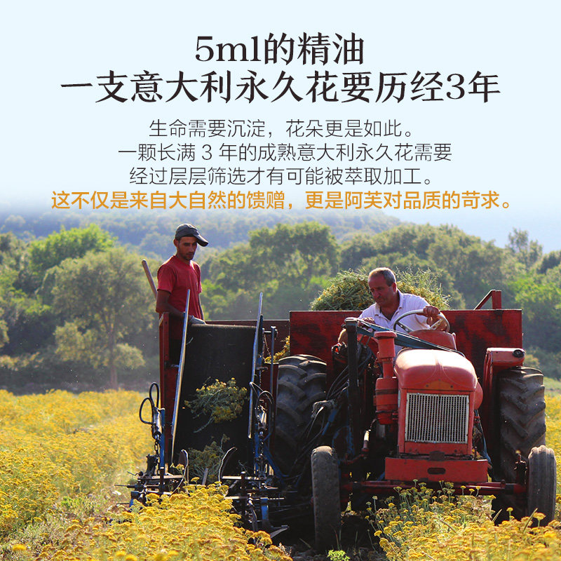 阿芙afu意大利永久花(小产区)精油 阿芙单方精油