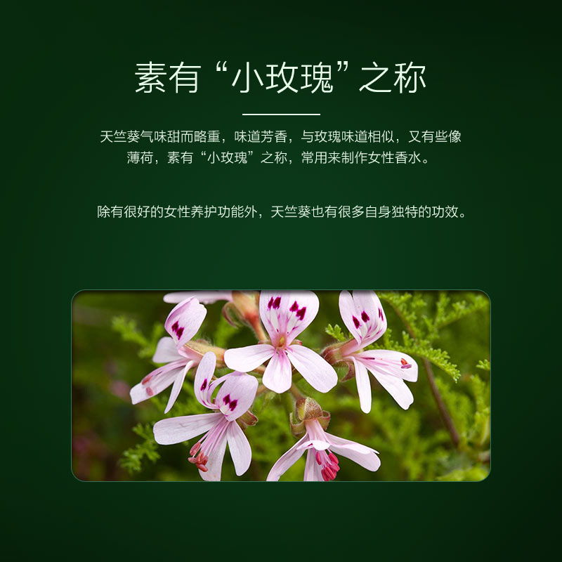 阿芙天竺葵精油 单方面部精油清理补水控油红润肤色 10ml 阿芙天竺葵精油 单方面部精油清理补水控油红润肤色 10ml