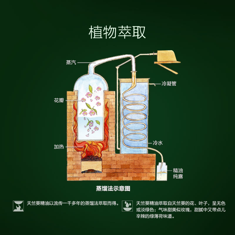 阿芙天竺葵精油 单方面部精油清理补水控油红润肤色 10ml 阿芙天竺葵精油 单方面部精油清理补水控油红润肤色 10ml