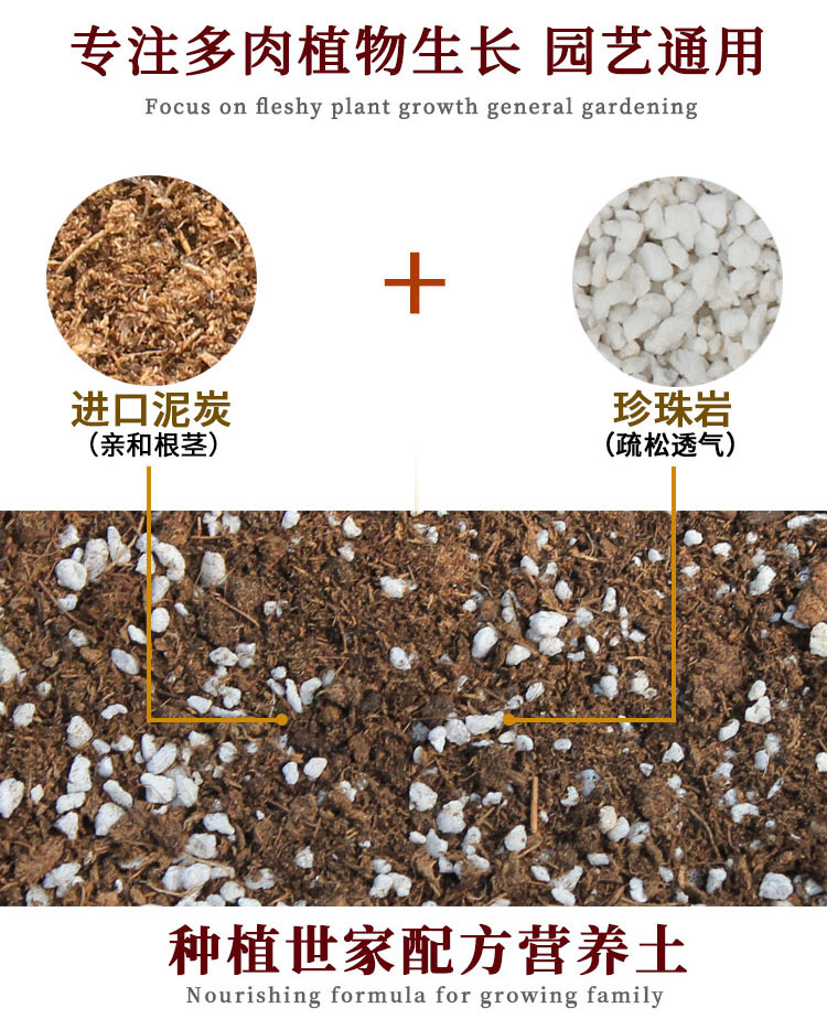 丹麦进口泥炭土多肉土多肉植物专用营养土种植叶插育苗通用土包邮-图2