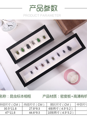 中空立体相框标本汇百家