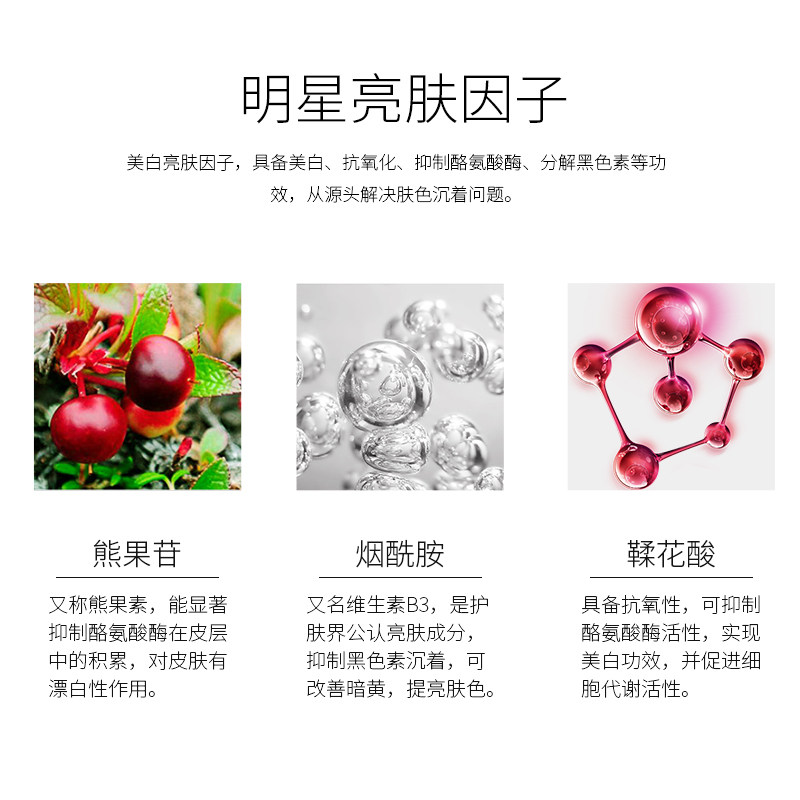 蝶莲娜小熊精华熊果苷肌肽精华液 蝶莲娜化妆品液态精华