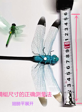 粘土仿真蜻蜓磁铁景观教具摆件