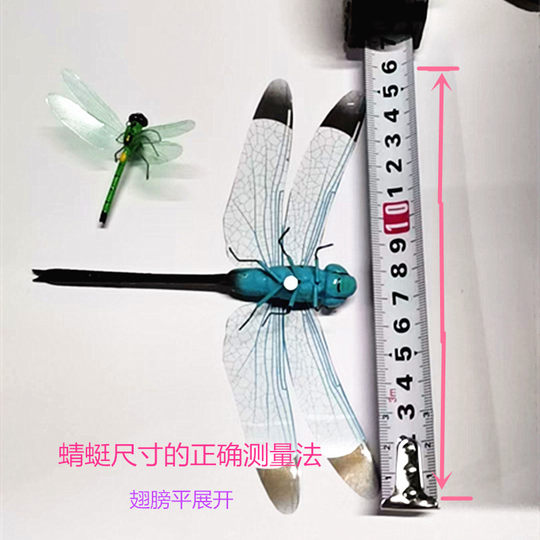 粘土仿真大蜻蜓 蜻蜓工艺品道具摆件磁铁冰箱贴景观家居装饰教具