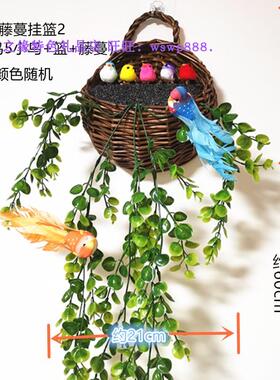 新款插花草编挂篮墙饰漂亮壁挂式