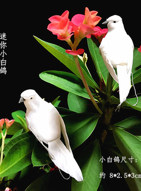 仿真鸽子小白鸽鸽子摆件
