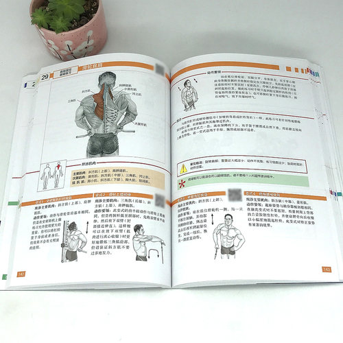 力量训练解剖全书 1000多幅解剖图+400多项肌肉练习+300多个配套视频 肌肉与力量的解剖学与认知及科学训练方案 北京科学技术出 - 图3