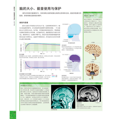 正版包邮DK大脑百科关于大脑解剖结构功能和疾病的图解指南科普百科健康生活北京科学技术出版社9787571417932