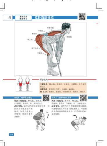 力量训练解剖全书 1000多幅解剖图+400多项肌肉练习+300多个配套视频 肌肉与力量的解剖学与认知及科学训练方案 北京科学技术出 - 图0