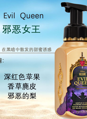 美国BBW泡沫抗菌洗手液不伤手
