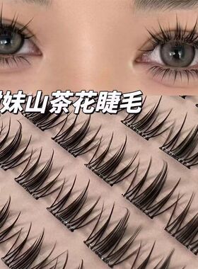 新款免胶山茶花假睫毛盒装分段三部曲新手自然无需胶水